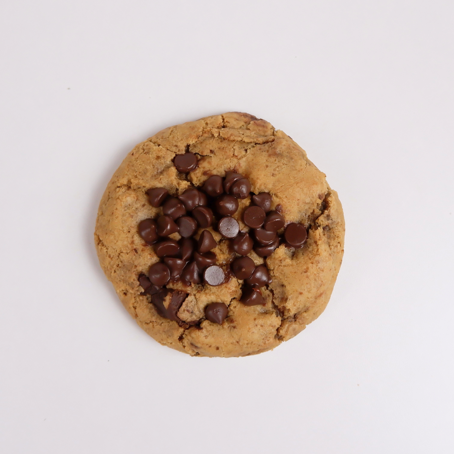 Classic Choco Chip